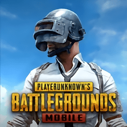 绝地求生pubgmobile香港区