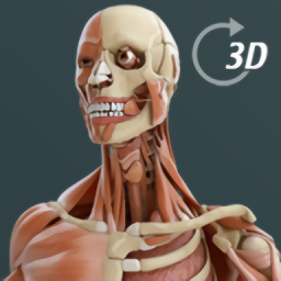 complete anatomy2022中文版